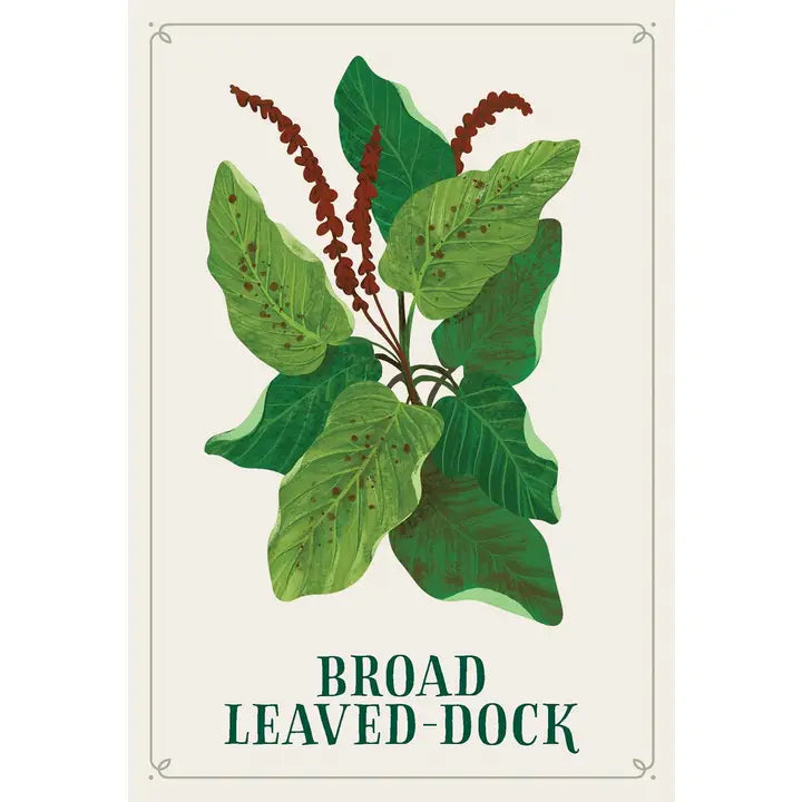 Enchanted Foraging Deck
