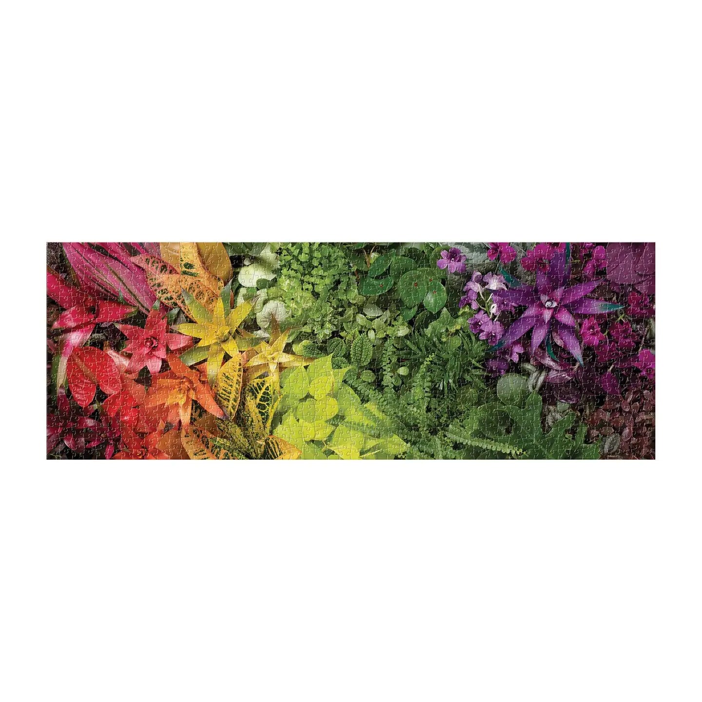 Plant Life Panoramic Puzzle 1000pc