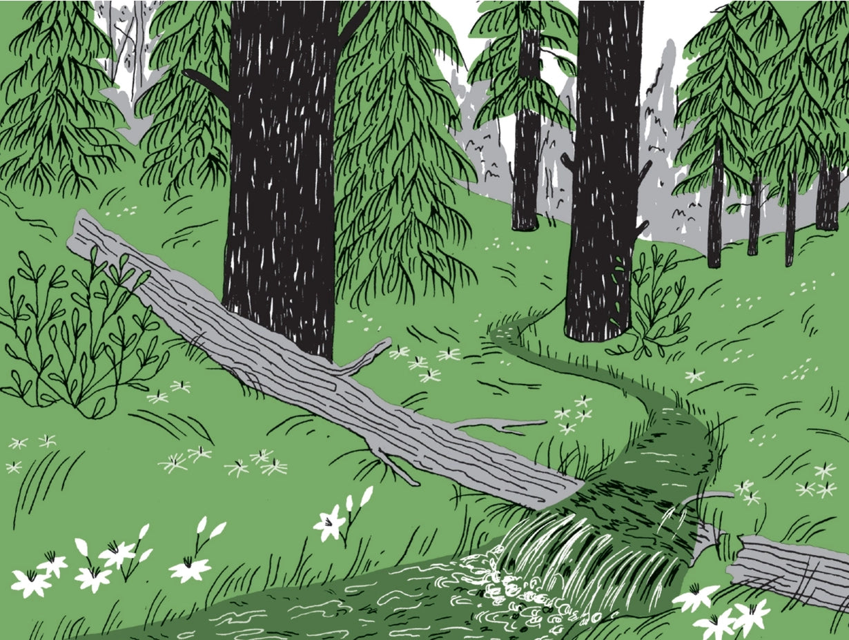Tree Hugging Book