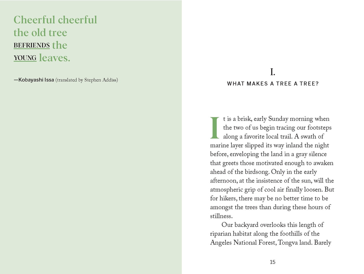 Tree Hugging Book