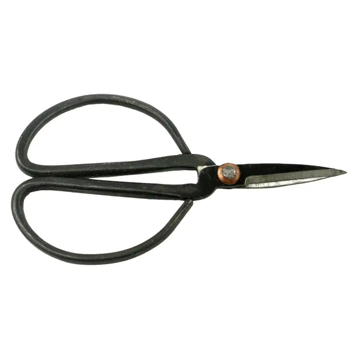 Forged Iron Shears Small