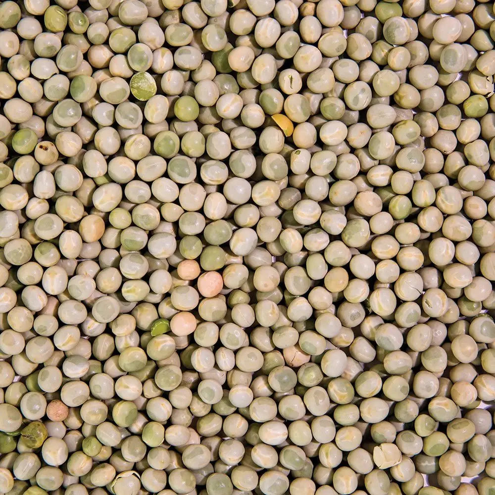 Organic Pea Sprouting Seeds 16oz
