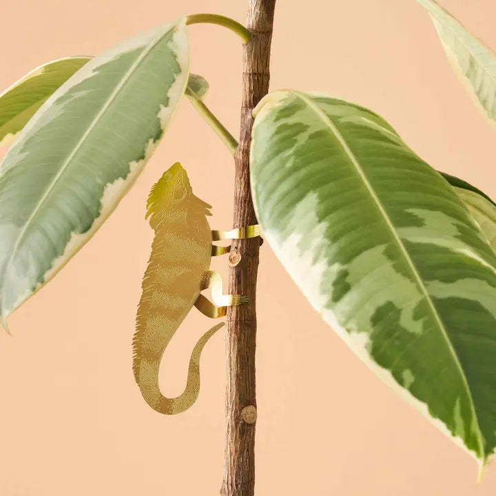 Plant Decoration Iguana