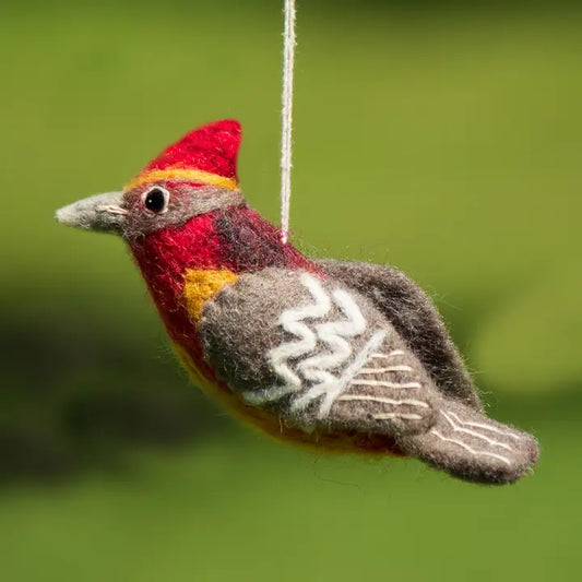 Vermillion Flycatcher Woolie