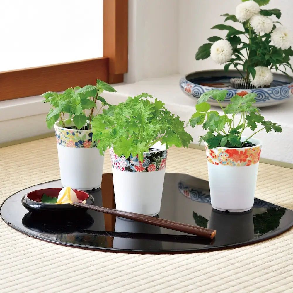 Wagakoro Yakumi Grow Kit