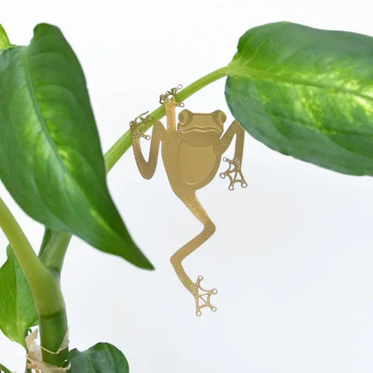 Plant Decoration - Tree Frog