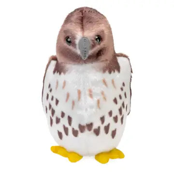 Audubon Stuffed Red Tailed Hawk with Sound
