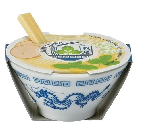 Ramen Garden Mini Grow Kit