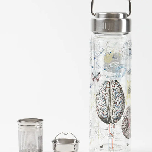 Brainstorm Glass Tea Infuser Flask
