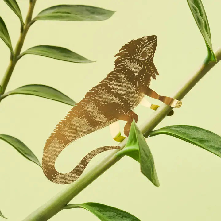 Plant Decoration Iguana