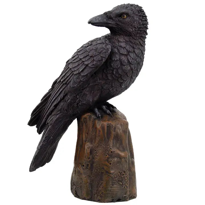 Raven on Stump Looking Forward