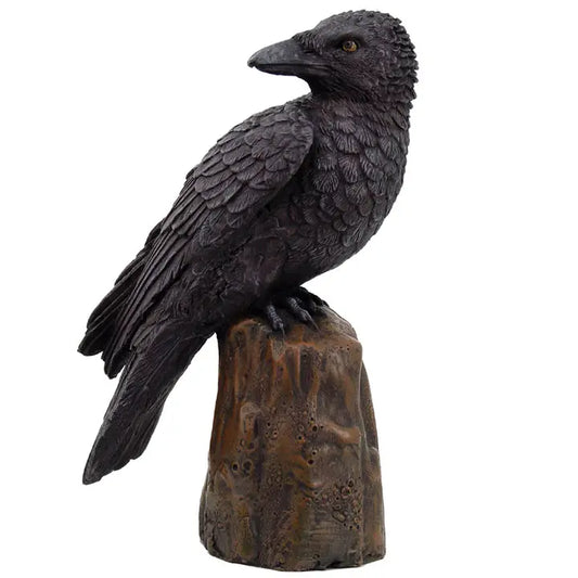 Raven on Stump Looking Forward