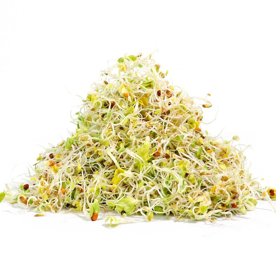 Organic Salad Mix Sprouting Seeds 3oz