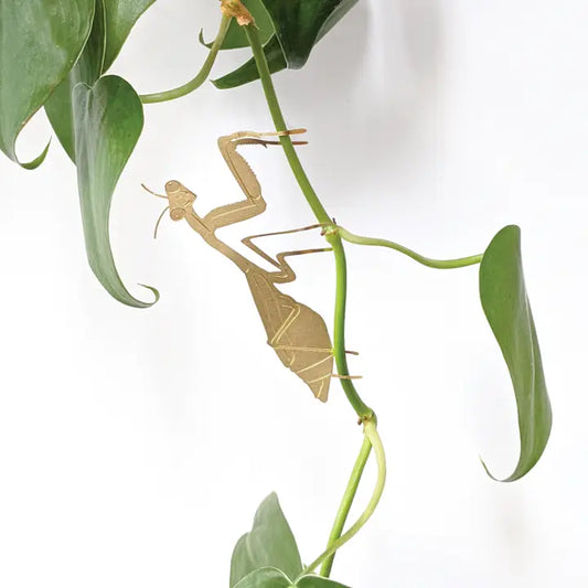 Plant Decoration Praying Mantis