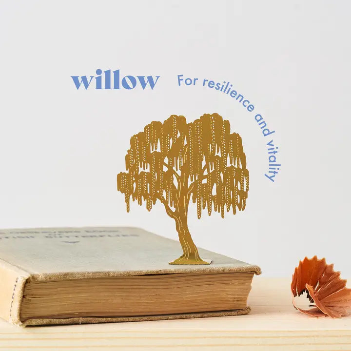 Plant Decoration Tiny Tree Willow