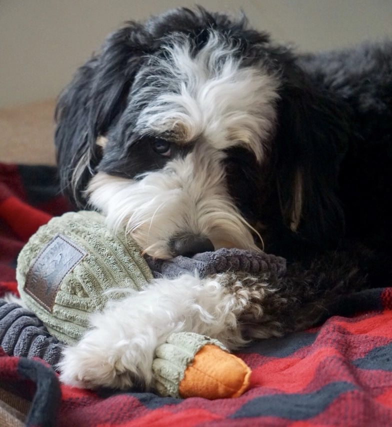 Plush Duck Squeaker Dog Toy 12"
