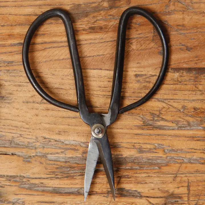 Forged Iron Shears Small