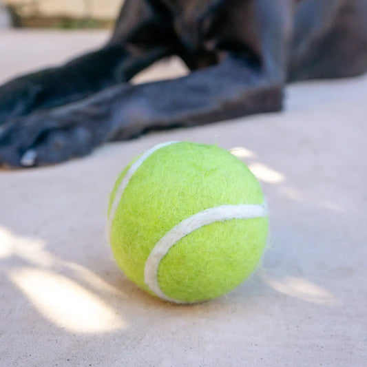 Tennis Ball Dryer Ball