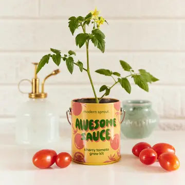 Color Grow Kit - Awesome Sauce Tomato