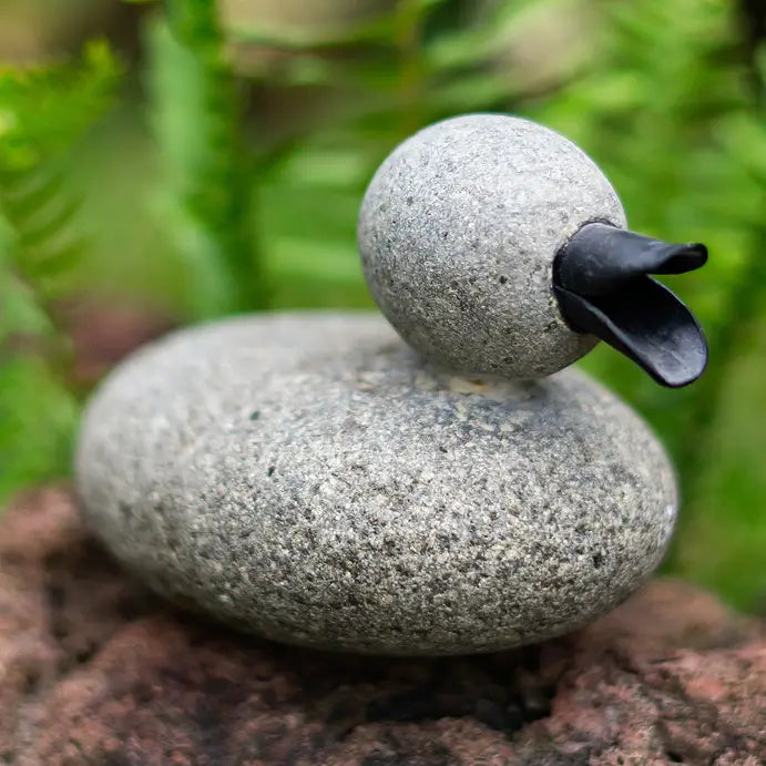 Pebble Duck