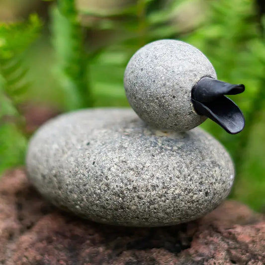 Pebble Duck