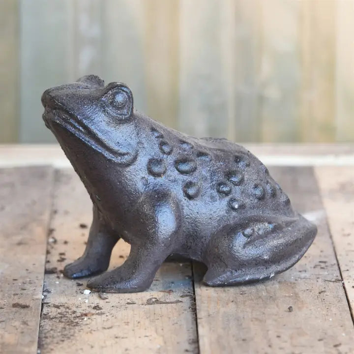 Cast Iron Garden Frog