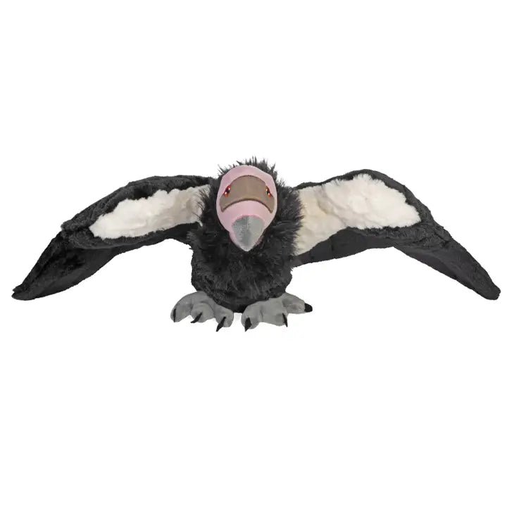 Ecoo California Condor