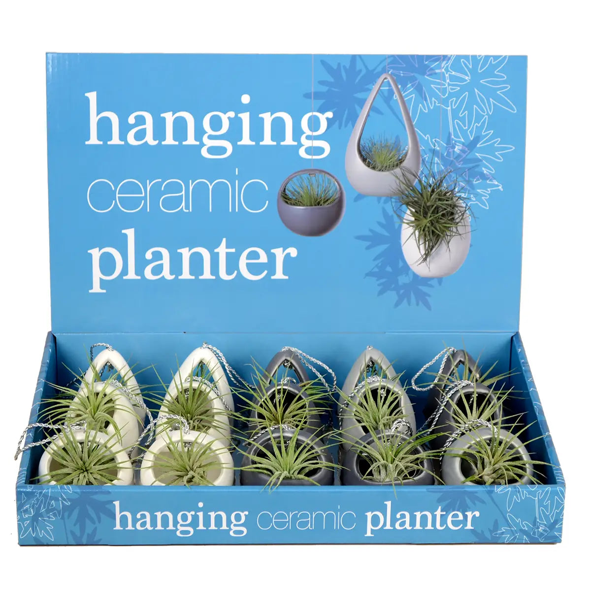 Mini Air Plant Planters Assorted