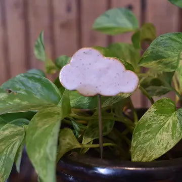 Plant Buddy - Cloud