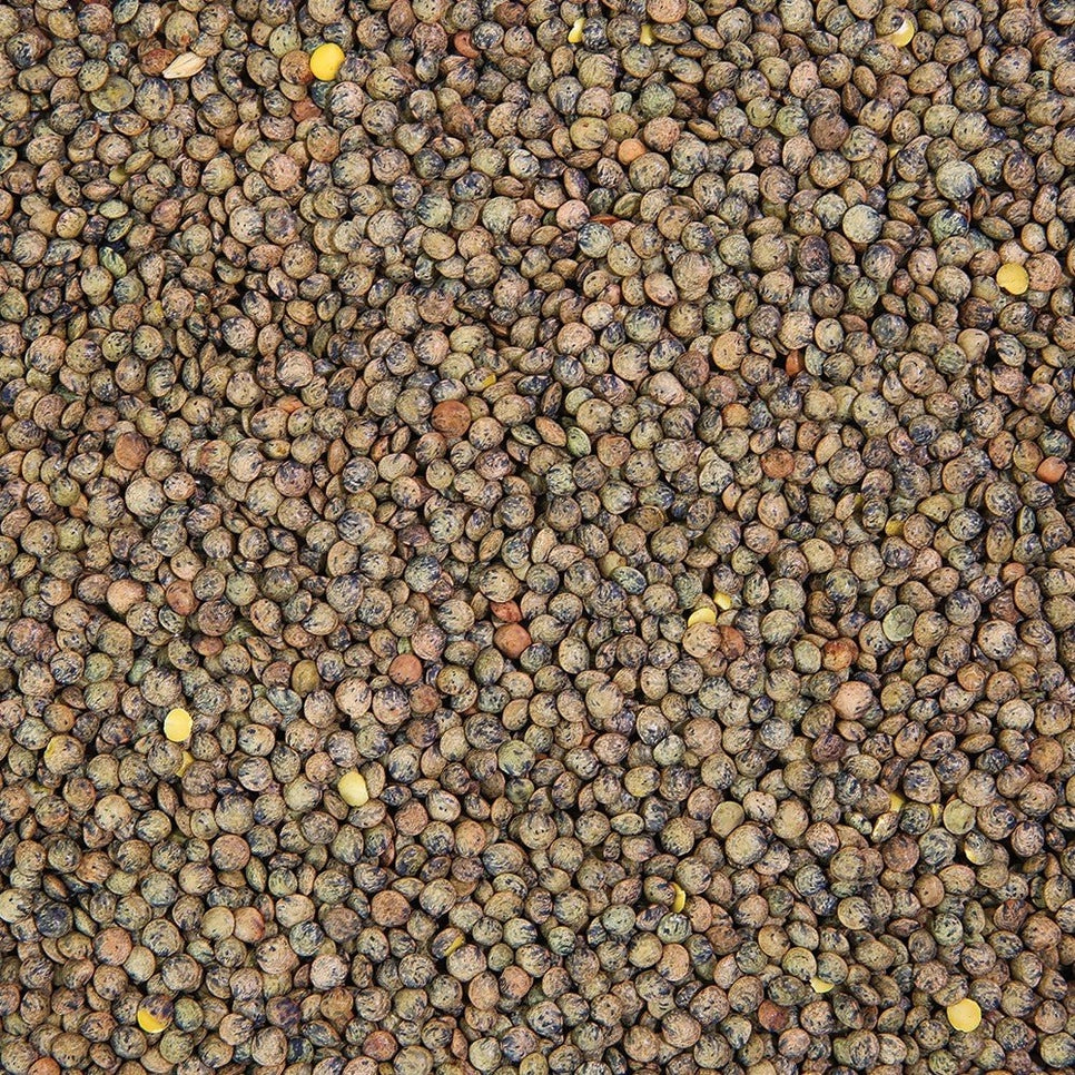 Organic Lentil Sprouting Seeds