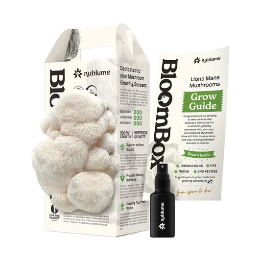 Mushroom Grow Kit Lions Mane
