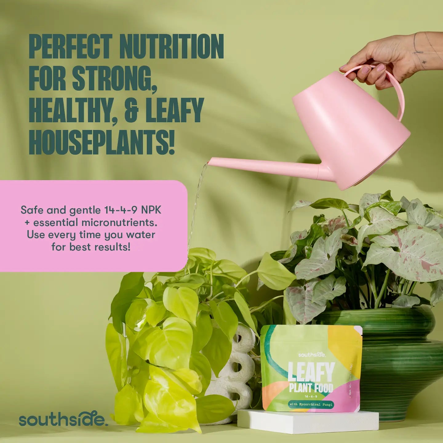 Leafy Plant Good Complete General Nutrition & Mycorrhizae