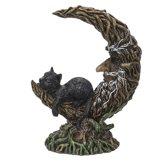 Black Cat Sleeping on Moon