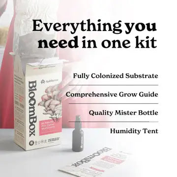 Mushroom Grow Kit Pink Oyster