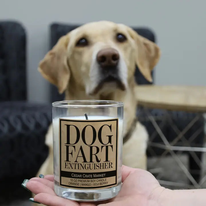 Candle - Dog Fart Extinguisher