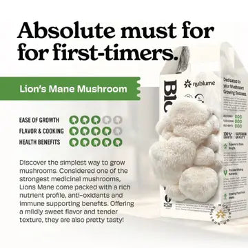 Mushroom Grow Kit Lions Mane