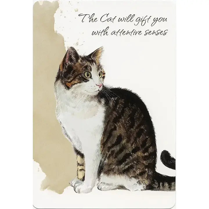 Power Animals Cards