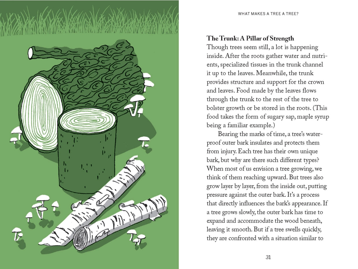 Tree Hugging Book