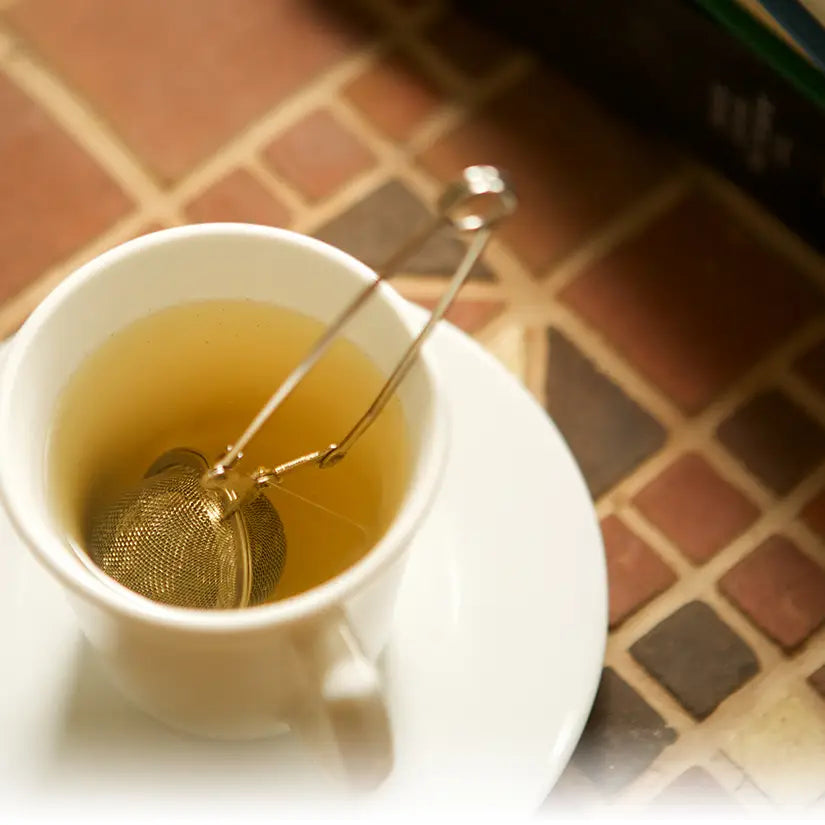Mesh Spoon Spring Tea Infuser