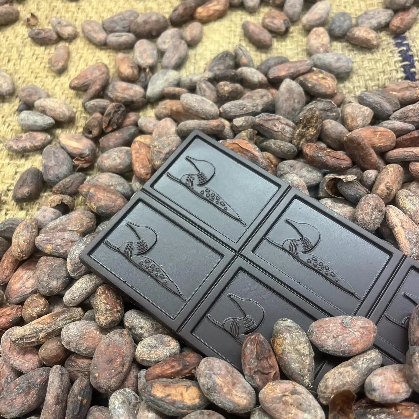 Dark Chocolate with Ghost Pepper & Maine Seat Salt