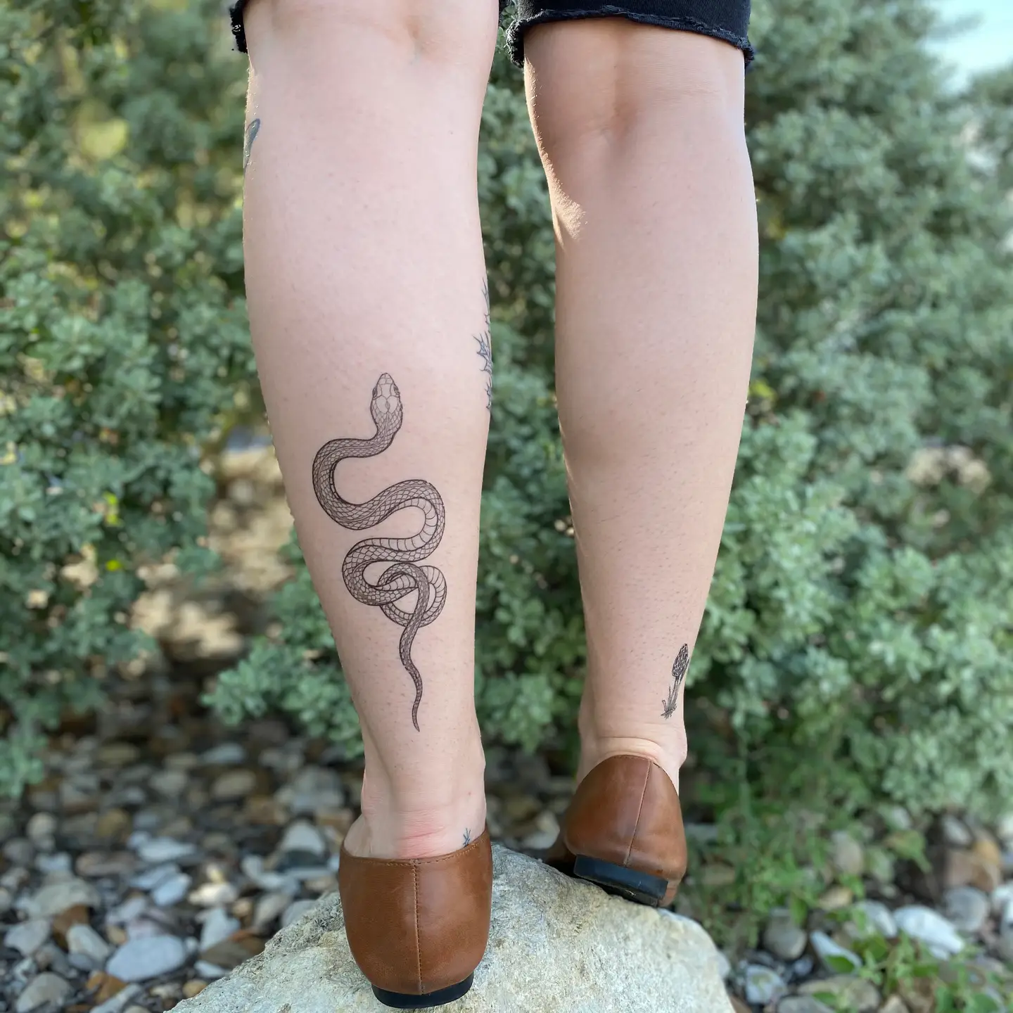 Garden Snake Temporary Tattoo