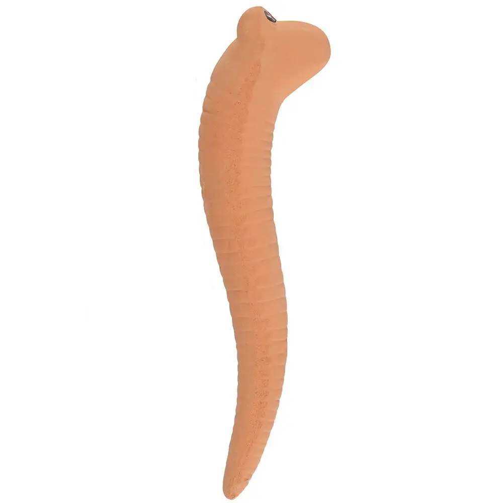Willy the Worm Plant Water Sensor
