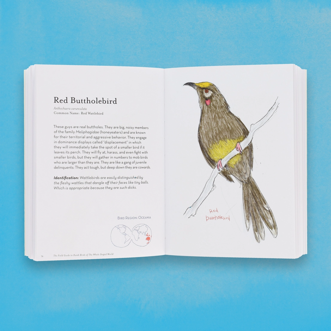 The Field Guide To Dumb Birds of the Whole World Book