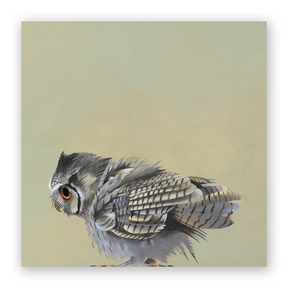 Scops Owl Wood Wall Art