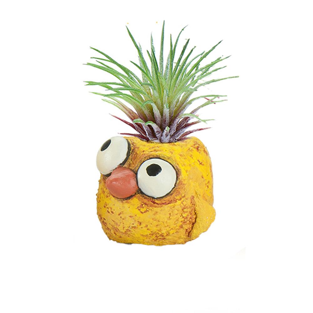 Chicky Planter