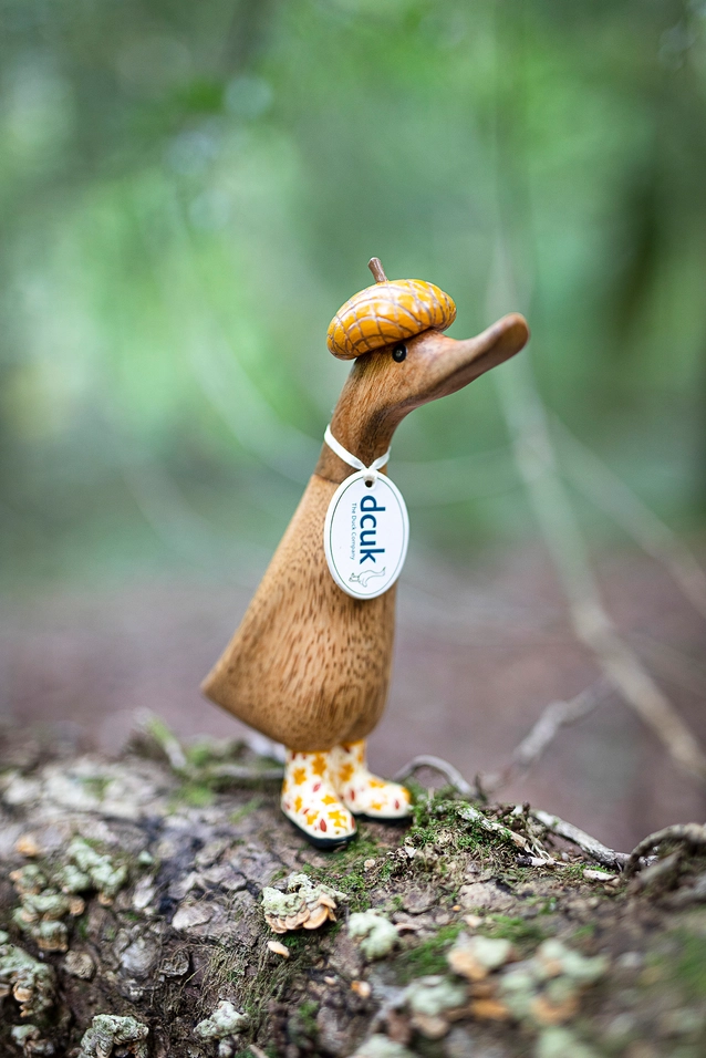 Duckling - Woodland Folk