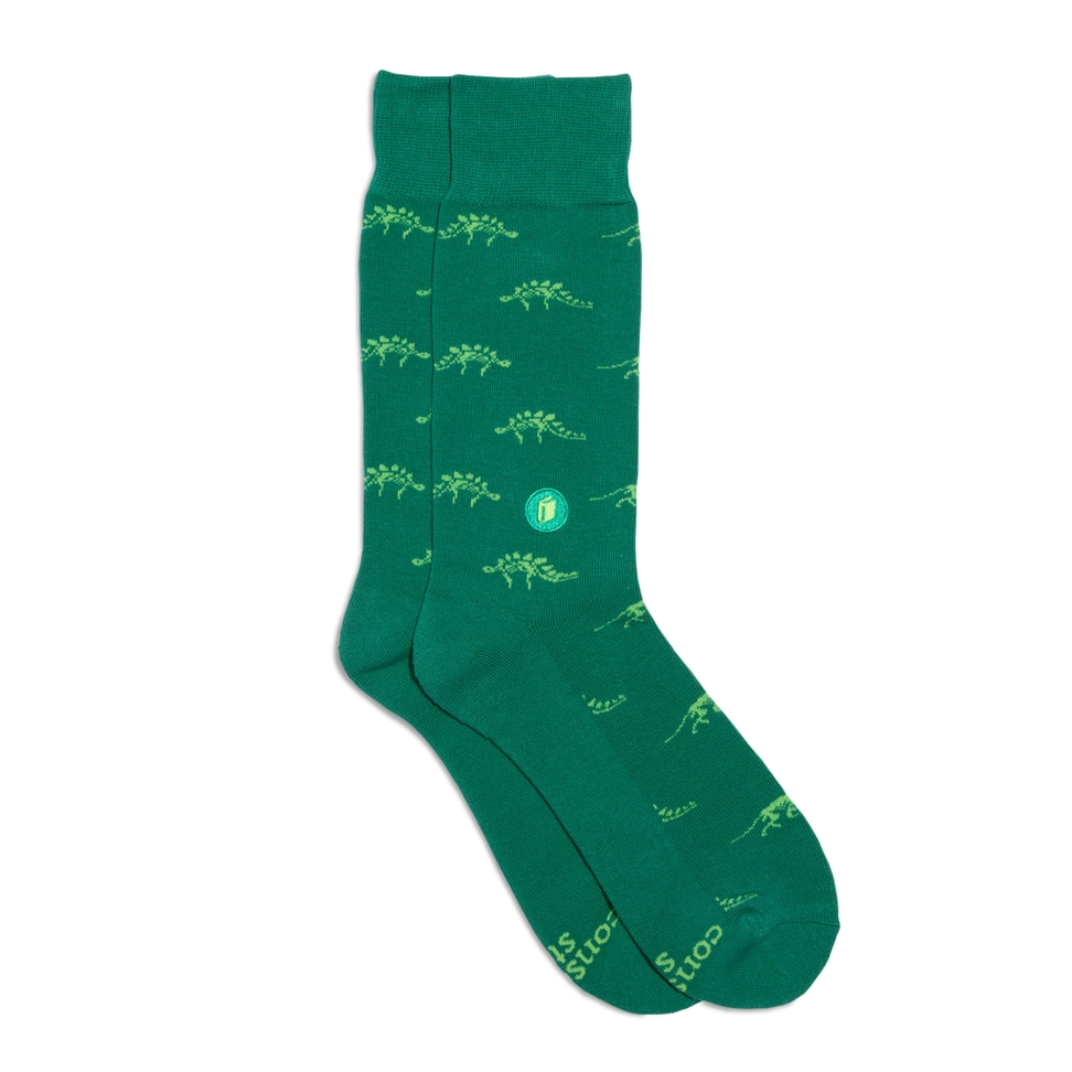 Socks That Give Books Dinosaur