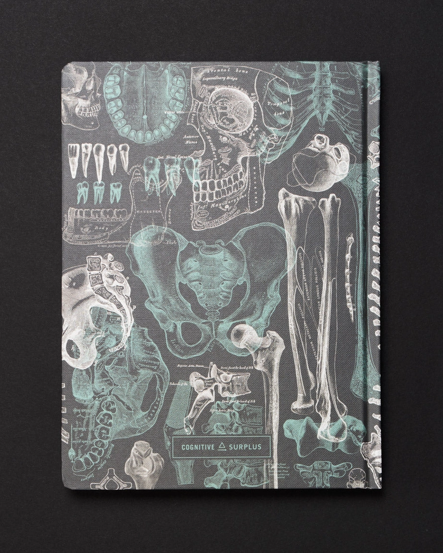 Skeleton Dark Matter Notebook