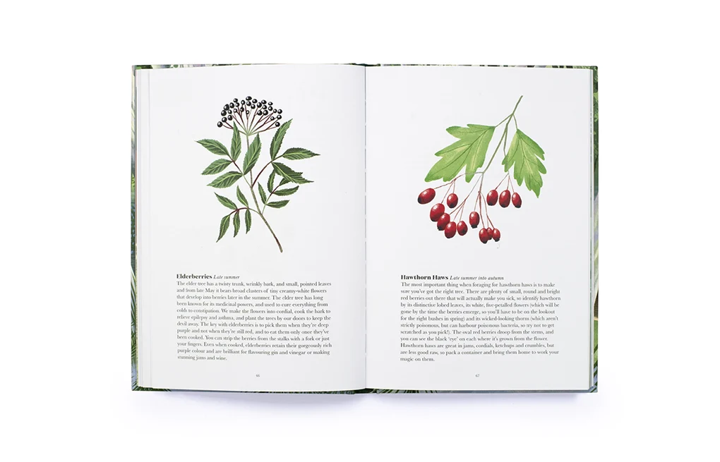 100 Things To Do in a Forest Book