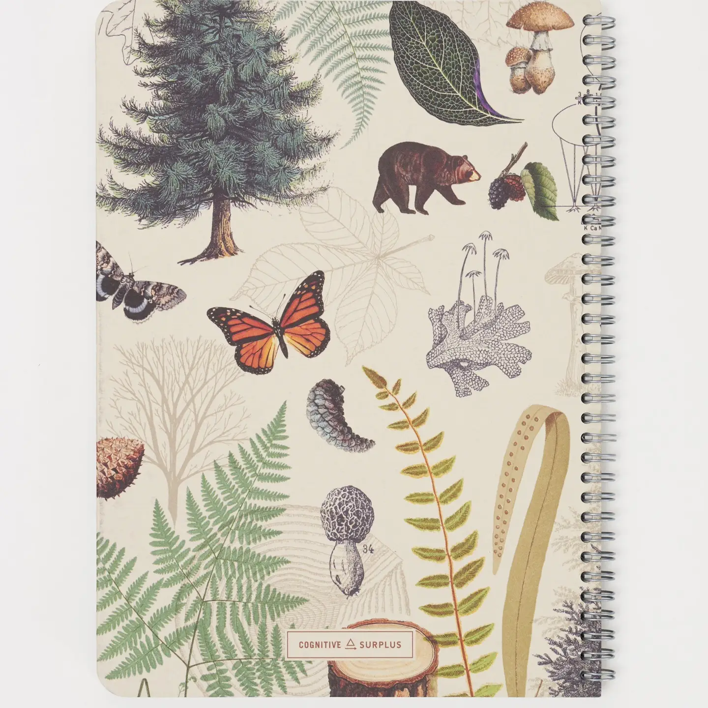 Into the Forest Spiral Notebook